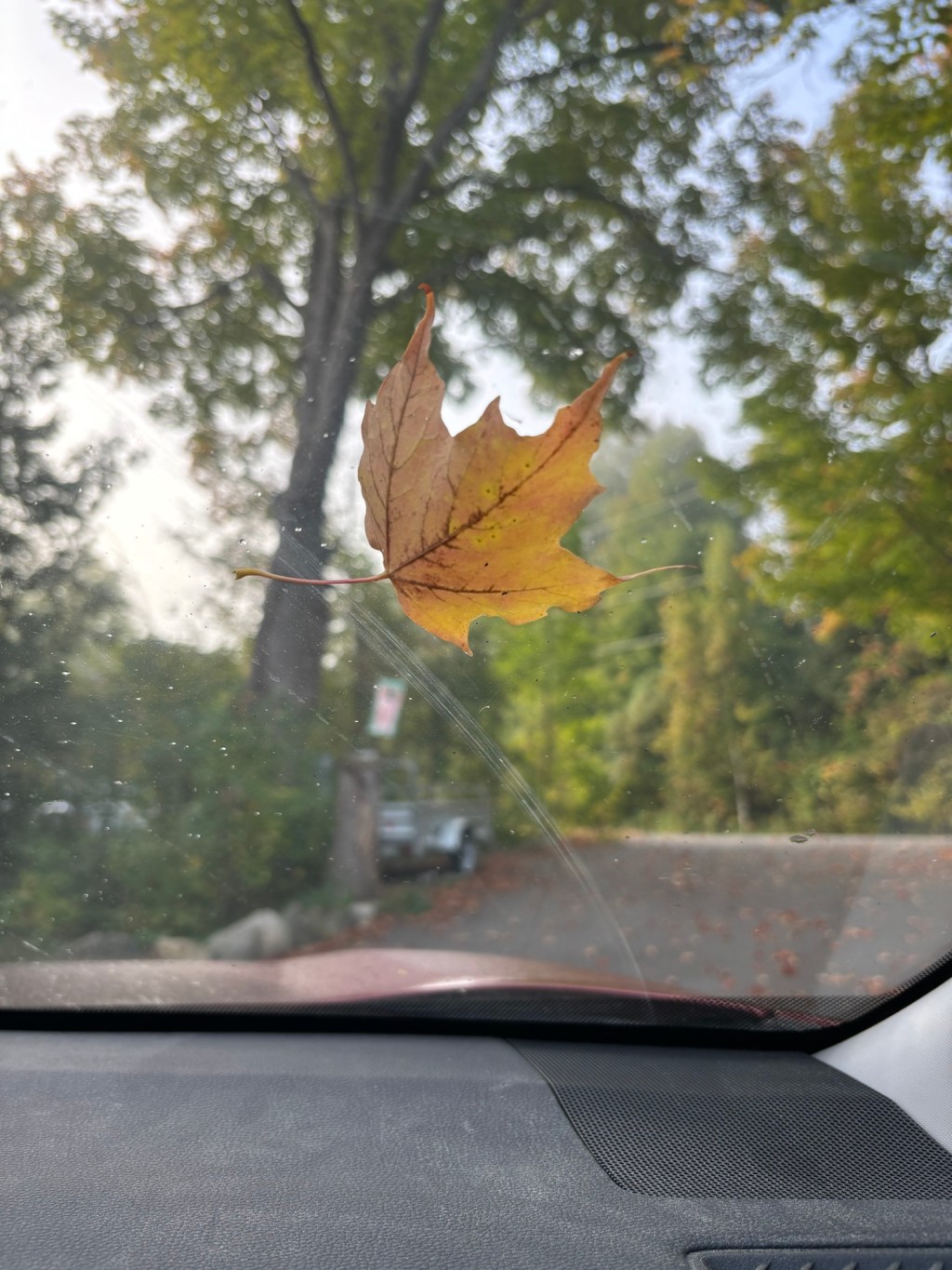 This sh*ts getting&nbsp;real…