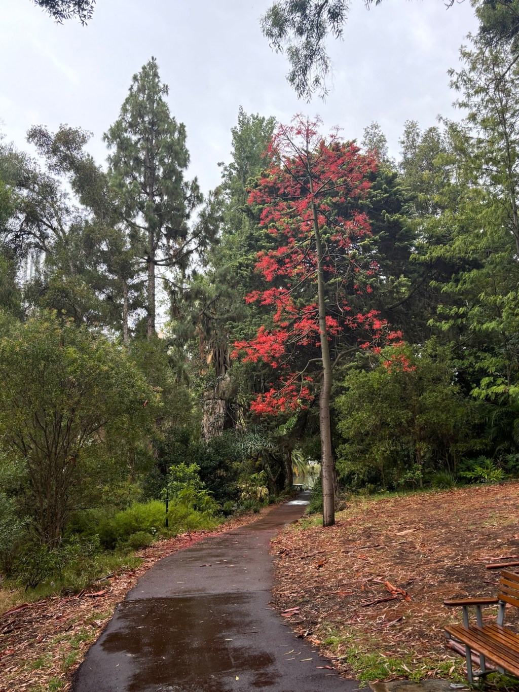 Not everyday is&nbsp;epic