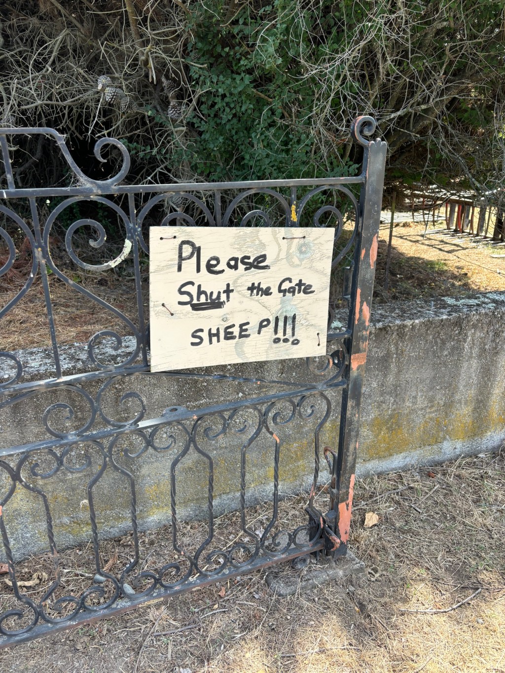 A weekend in&nbsp;Amuri